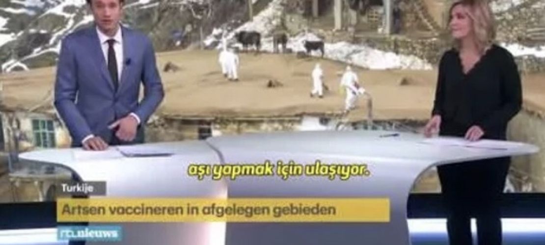 Van örnek oldu Hollanda’ya