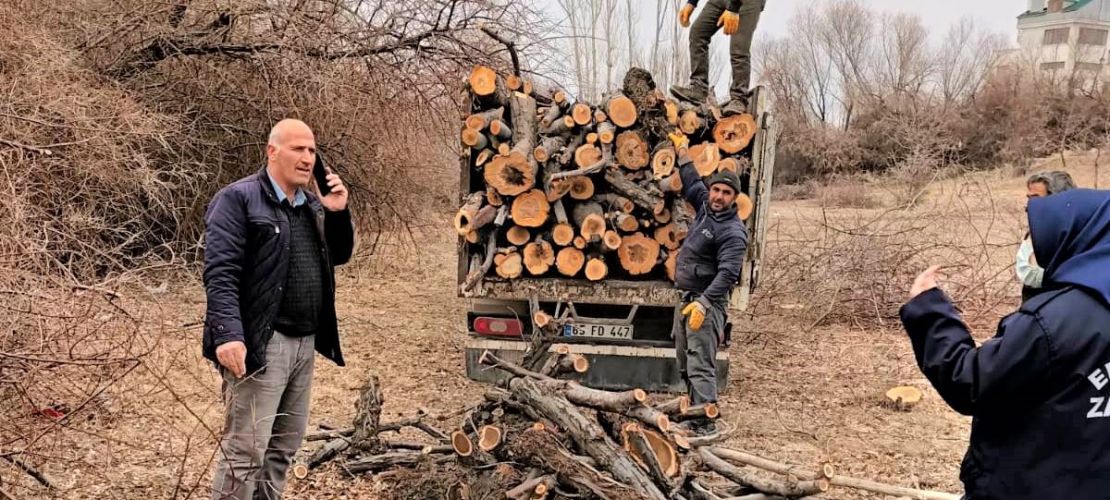 Edremit belediyesinden ağaç kesenlere ciddi cezalar