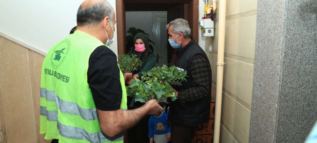 İpekyolu Belediyesinden fide bizden üretim sizden projesi