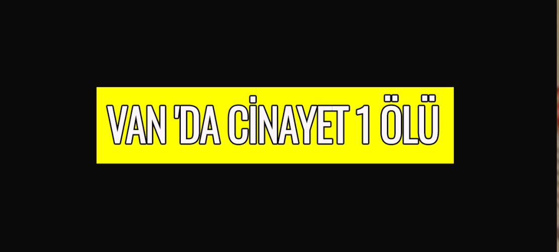 Van'da cinayet 1 ölü