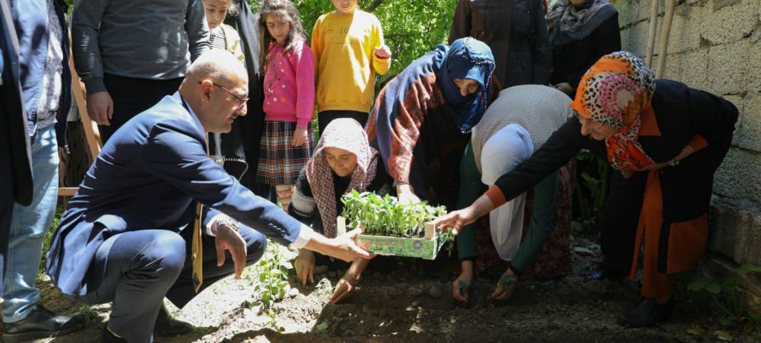 YÜZ BİNLERCE FİDE TOPRAKLA BULUŞUYOR