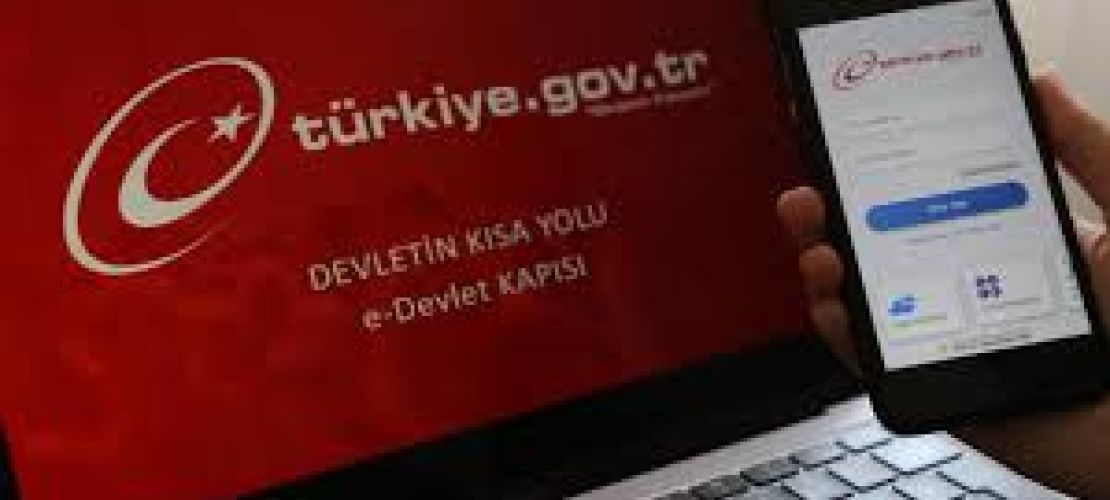 Vatandaşlar e - Devlete akın edecek