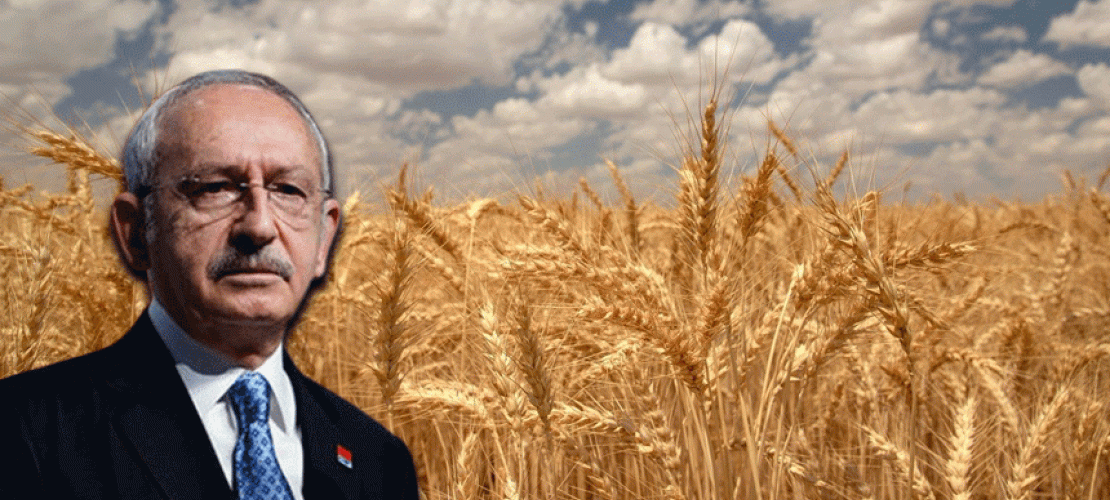 BTK engeli nedeniyle SMS atamayan Kılıçdaroğlu sosyal medyadan duyurdu: Buğday taban fiyatı en az 13 TL olacak