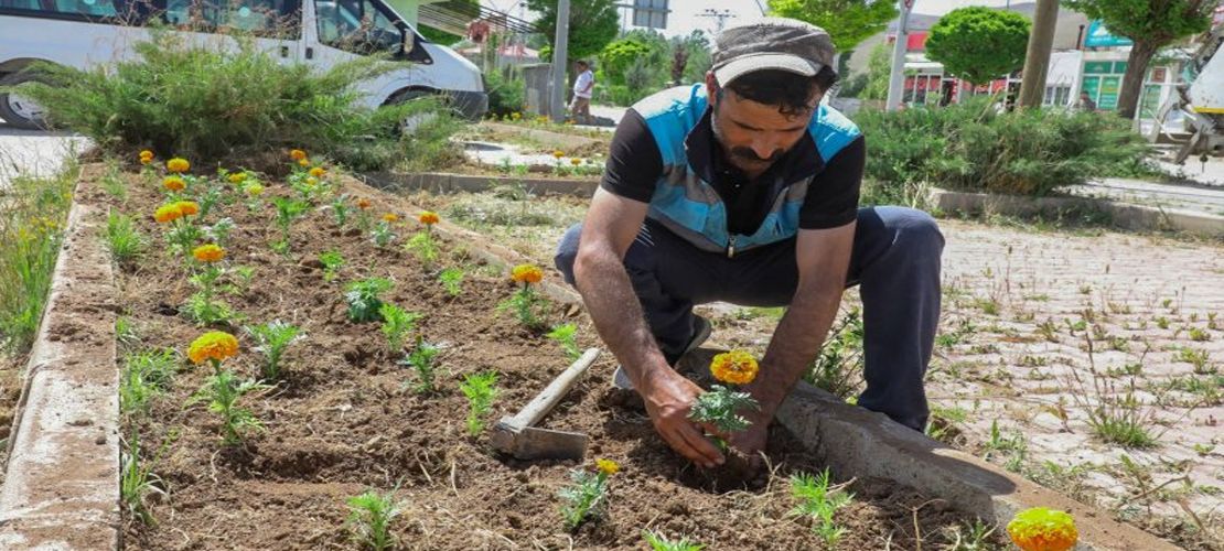 Gürpınar Belediyesi ilçeyi çiçeklerler süsledi