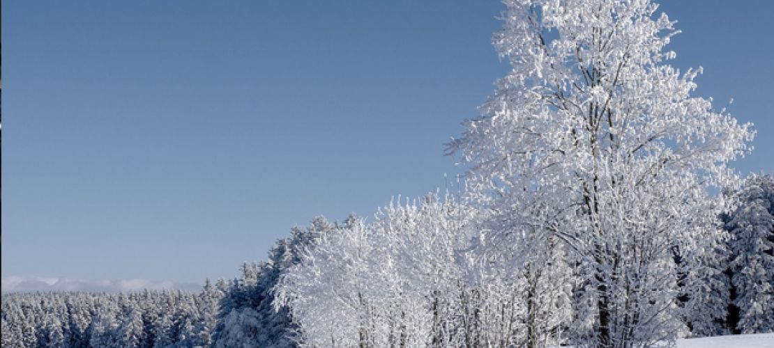Van'da Kar Yağışı Nedeniyle 86 Yerleşim Yeri Ulaşıma Kapandı