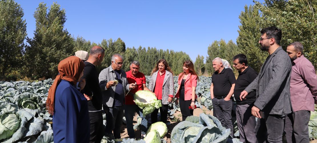 Tescilli Lezzet Erciş Lahanası: İlk Denetimden Tam Not Aldı