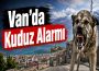 Van’da Kuduz Alarmı
