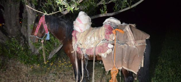 Van'da katır üzerinde 97 kilo uyuşturucu ele geçirildi