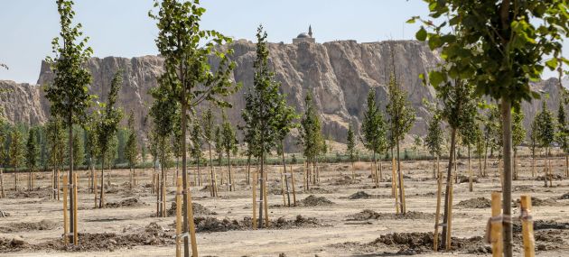 Ihlamur parkı Van'a renk kattı