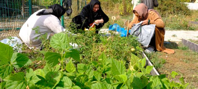 Kadın Komün Bostanı’nda Son Hasat